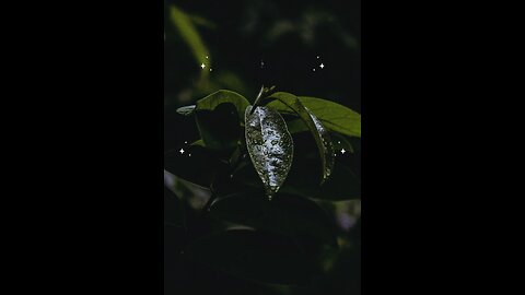 Hadees e nabvi (saw) #islam #viralvideos #islamicreminders #prophetmuhammadsaw #hadeesenabvi