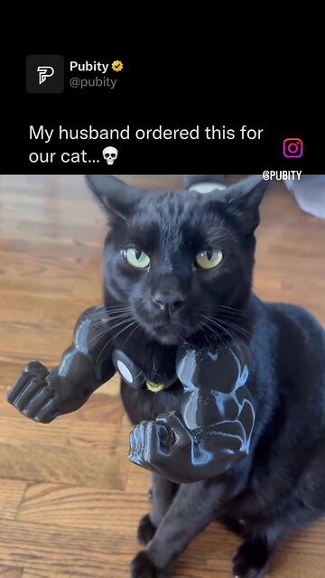 Check the arms on that cat