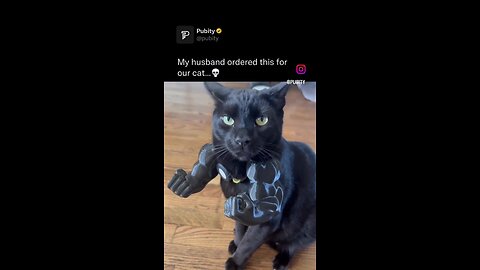 Check the arms on that cat