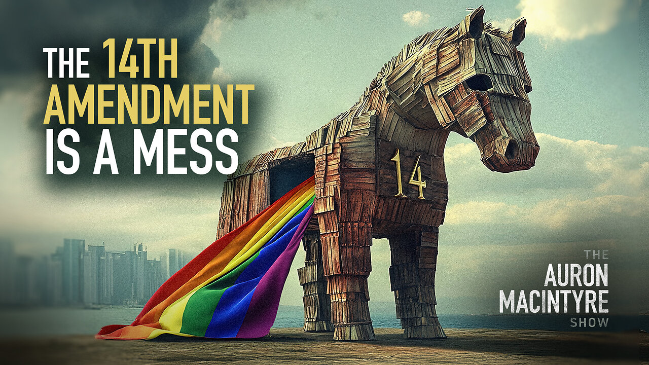 The 14th Amendment Is a Mess | Guest: Ryan Turnipseed | 1/29/25