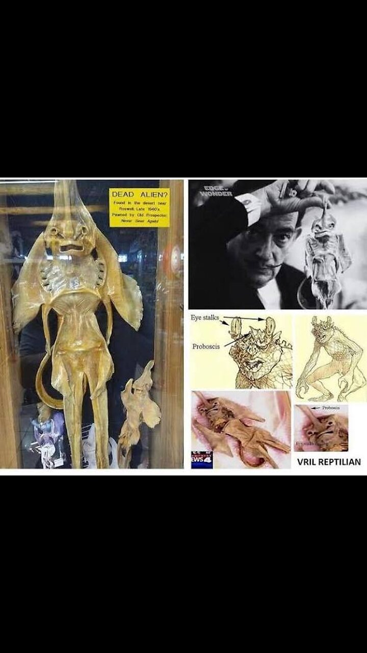 VRIL PARASITES TURN HUMANS INTO REPTILIANS