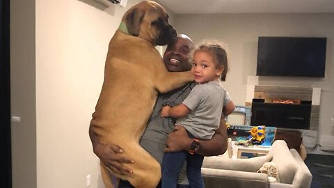 No Matter the Size, Every Dog Is a Lapdog! 🐾😂