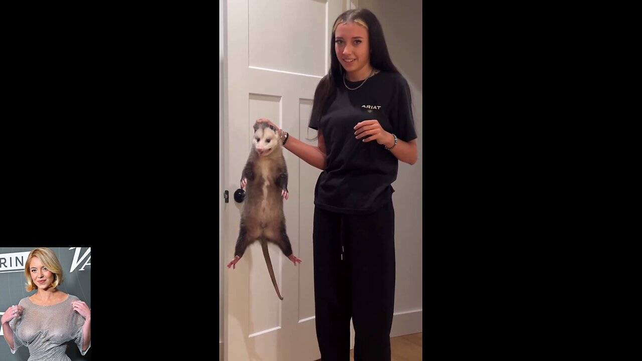 Funny Videos And Memes Compilation 27