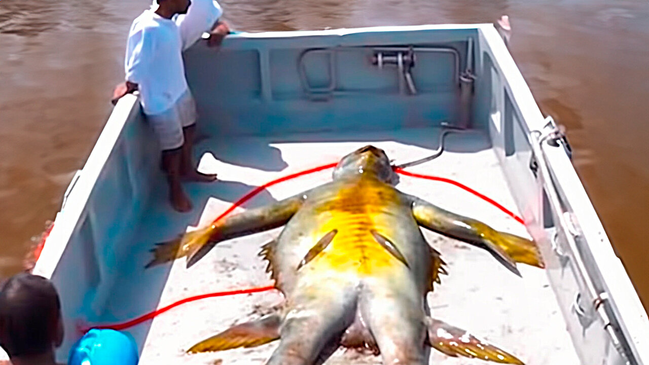 If These Creatures Were Not Filmed, No One Would Have Believed Them