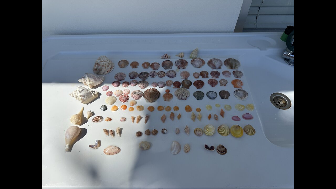 Beach Finds 9/25/2025 | 4K