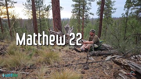 Matthew 22, Bible Reading in Nature, BSB