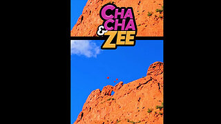 Nature's Funniest Optical Illusion