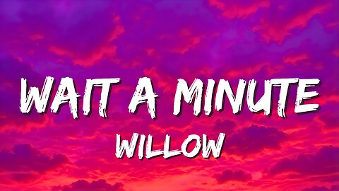 Wait A Minute Lyrics - WILLOW | Wait a minute! I think I left my conscience on your front doorstep ✨