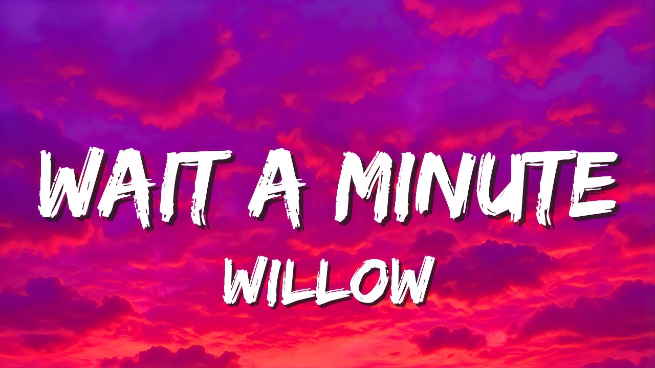 Wait A Minute Lyrics - WILLOW | Wait a minute! I think I left my conscience on your front doorstep ✨