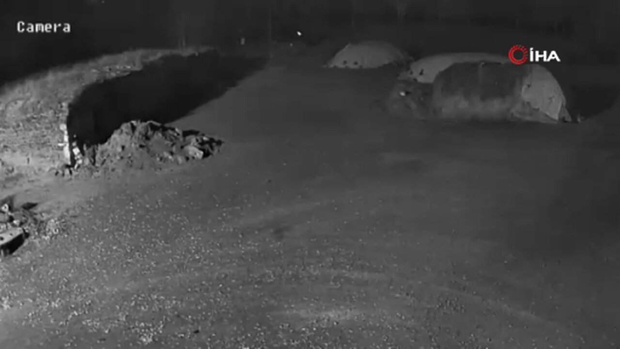 Kars’ta kurtlar köpeği götürdü