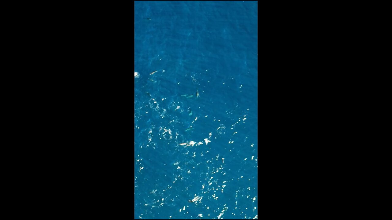 Daily Verse March 1st 2025