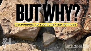 But Why? (11 am) | Crossfire Healing House