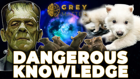 Dangerous Knowledge: The Dark Side of Scientific Ambition | Grey Matter Podcast Commentary
