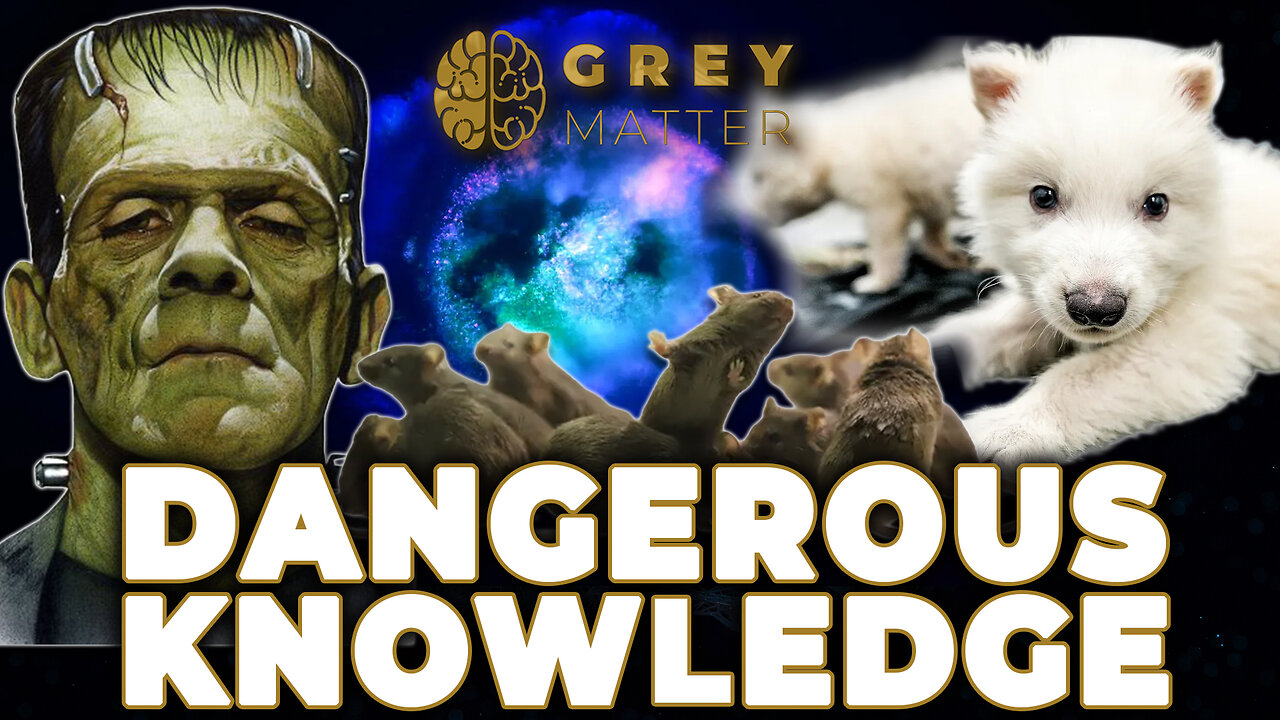 Dangerous Knowledge: The Dark Side of Scientific Ambition | Grey Matter Podcast Commentary