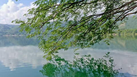 The most beautiful thing I saw today