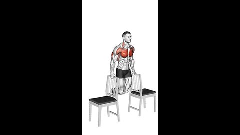 Dips Between Chairs Exercise.