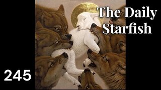 The Daily Starfish #245 #viral #news #shorts