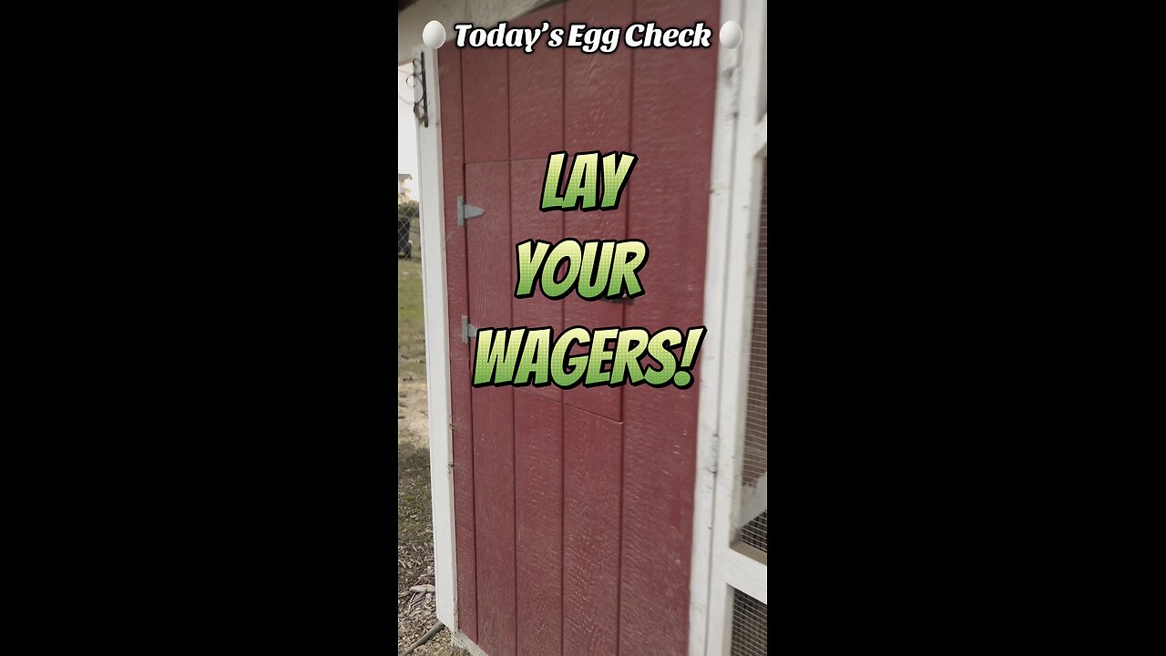 🥚 Today’s Egg Check! 🥚