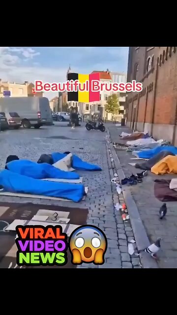 A cold snap in Brussels, the capital of the EU and Belgium