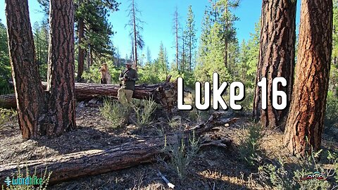 Luke 16, Bible Reading in Nature, BSB