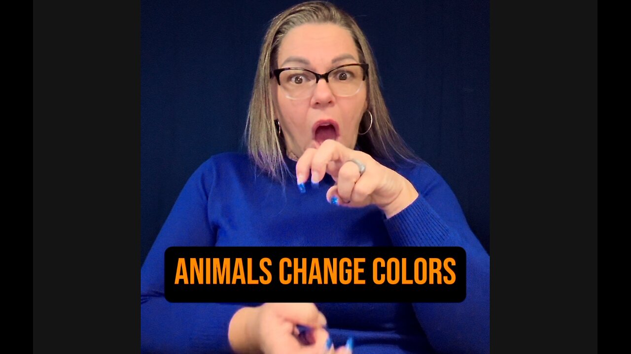 🚨 Animals Change Colors?! 😱 #ASL #deaf #signlanguage