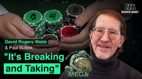 "All Wars are Bankers' Wars" - David Rogers Webb and The Great Taking | + Find links to other related videos BELOW this video in the description box