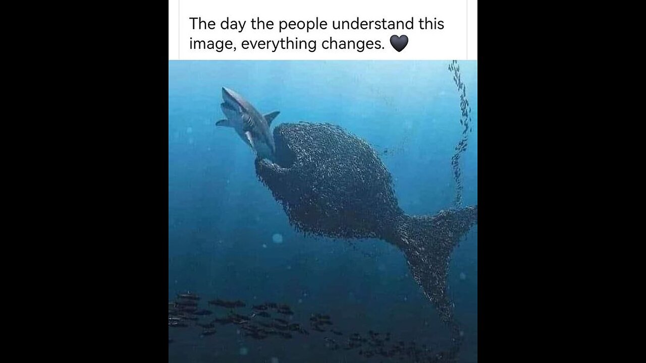 Situation Update Judy Byington 11.1.25 .......