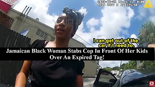 Jamaican Black Woman Stabs White Cop In Front Of Her Kids Over An Expired Tag!