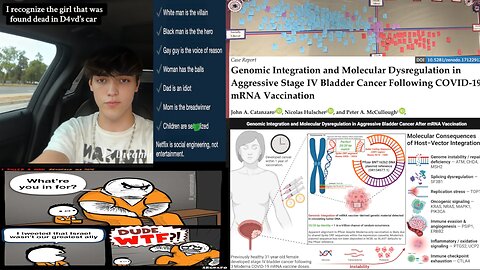 ( -0970 ) He Saw D4VD w a Drugged-Out Celeste (Witness) - Denmark Drones - Many Clips & Interviews by Nicolas Hulscher (MPH) on Covid-19 mRNA Genomic Integration - Various