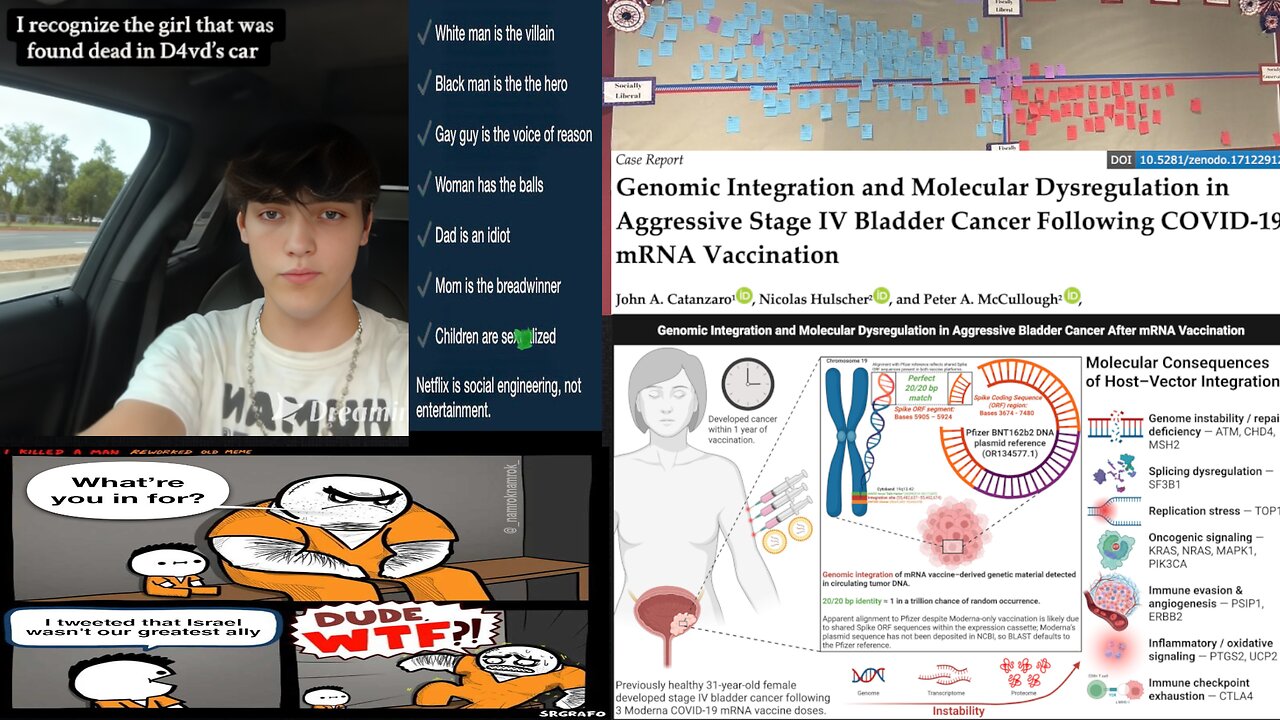 ( -0970 ) He Saw D4VD w a Drugged-Out Celeste (Witness) - Denmark Drones - Many Clips & Interviews by Nicolas Hulscher (MPH) on Covid-19 mRNA Genomic Integration - Various