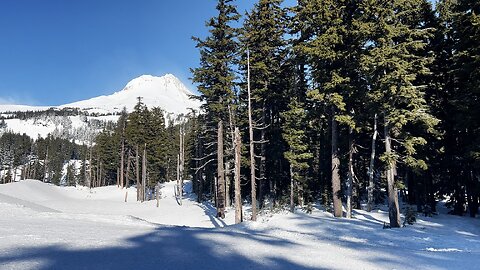 FULL WINTER SNOWSHOE HIKE 4K to Umbrella Falls! | Mount Hood Meadows Trailhead | Winter Wonderland!