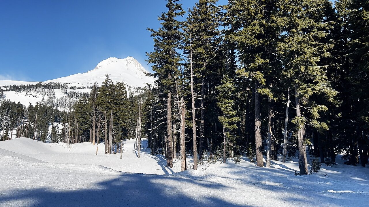 FULL WINTER SNOWSHOE HIKE 4K to Umbrella Falls! | Mount Hood Meadows Trailhead | Winter Wonderland!