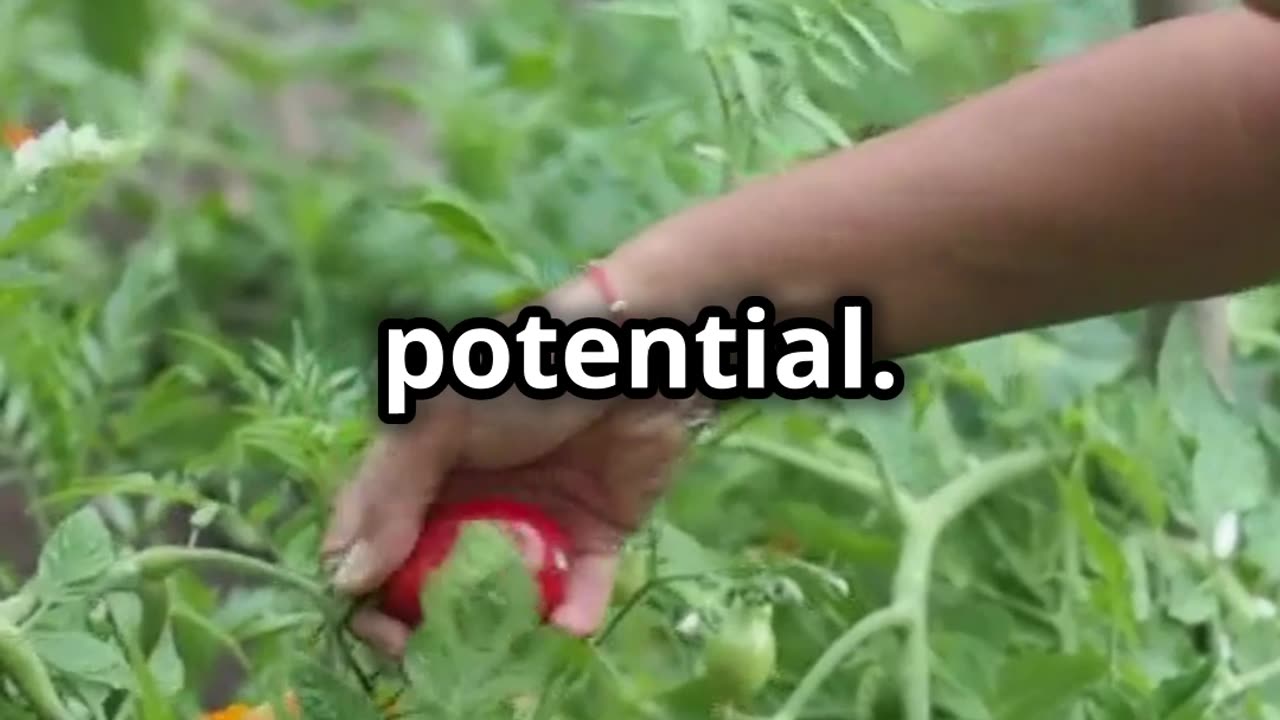Grow These Veggies for BIG $$$