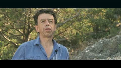 Дельфины Черного моря. Документальный фильм 2019 г.