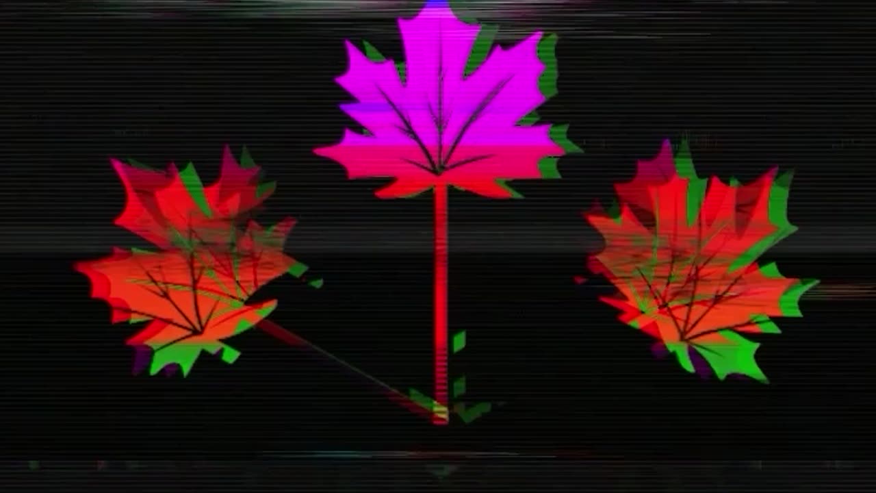 🇨🇦CANADA🇨🇦