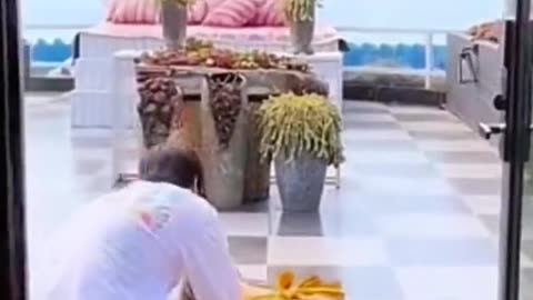 How many time have I told you not to run in the house