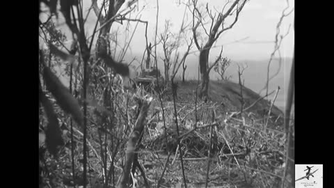 745th Tank Battalion Philippines 1945 - Great Quality [ WWII Documentary ]