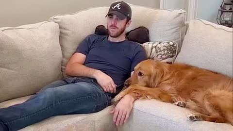 Funniest Animals Compilation 2025 😂🐶 Part 89