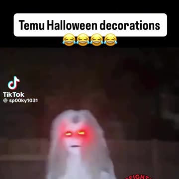 Temu Halloween Decorations