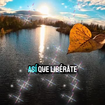 REFLEXION🫠🫠🫠😇😇😇😇😇😶‍🌫️😶‍🌫️😶‍🌫️😶‍🌫️