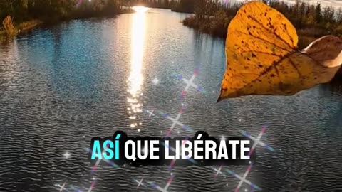 REFLEXION🫠🫠🫠😇😇😇😇😇😶‍🌫️😶‍🌫️😶‍🌫️😶‍🌫️