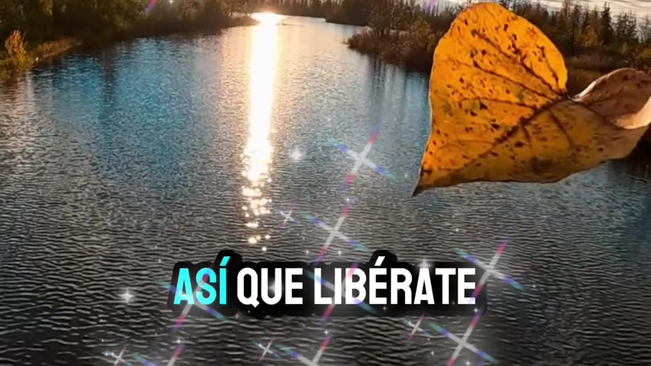 REFLEXION🫠🫠🫠😇😇😇😇😇😶🌫️😶🌫️😶🌫️😶🌫️