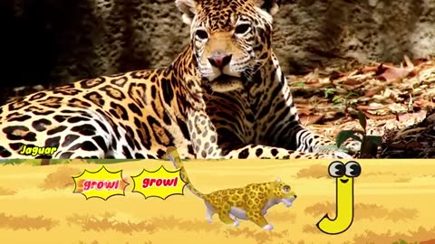 Animal ABC Songs & Safari Animal Sounds Songs Compilation (1 hour) | Nursery Rhymes