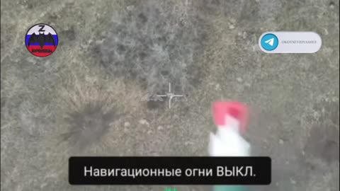 Daily hohols' slaughter🐷