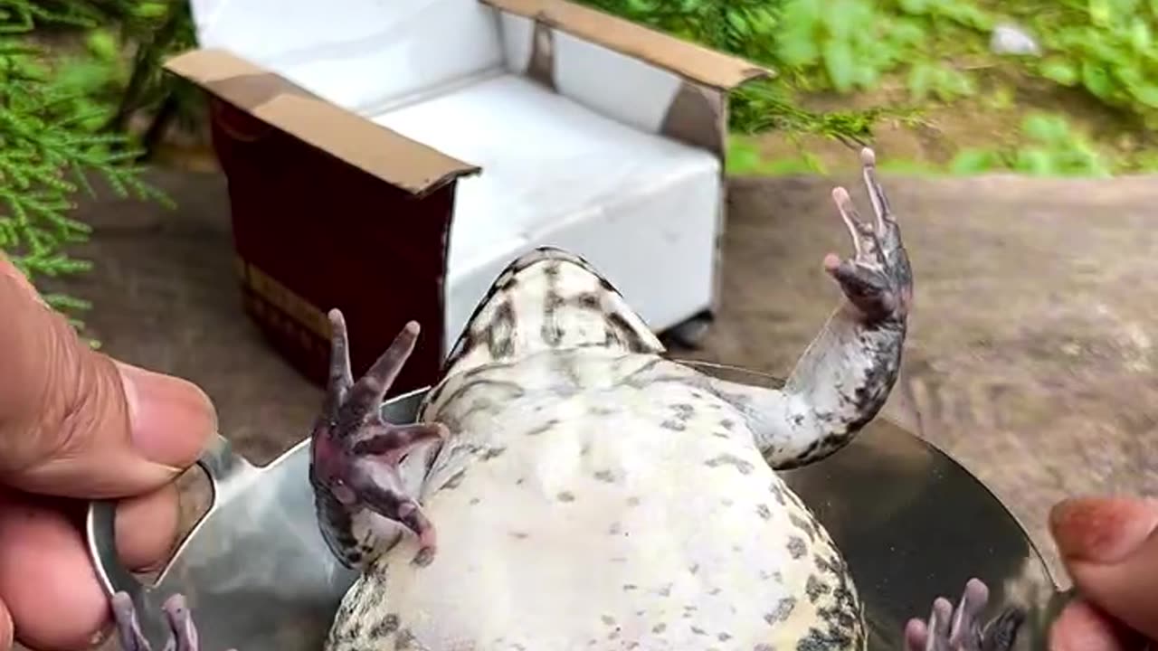 😆😆