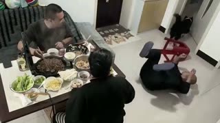 😭😂 This Border Collie’s Reaction to No Meat is Priceless! | FunFM