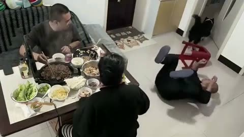 😭😂 This Border Collie’s Reaction to No Meat is Priceless! | FunFM
