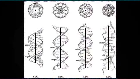 The Music-DNA Connection