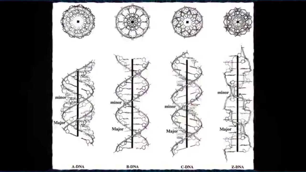 The Music-DNA Connection