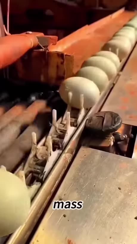 FAKE food Fake Eggs Watch out